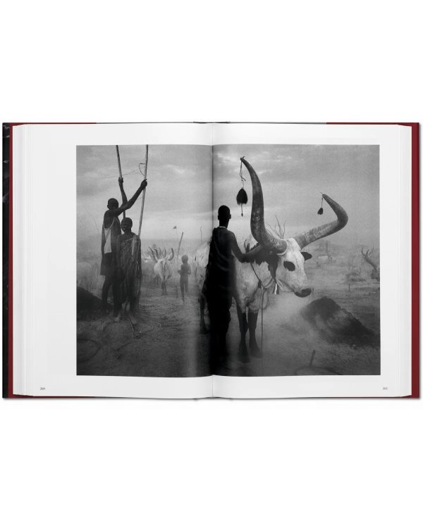 Sebastião Salgado. Genesis