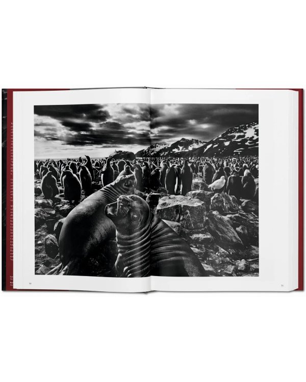 Sebastião Salgado. Genesis