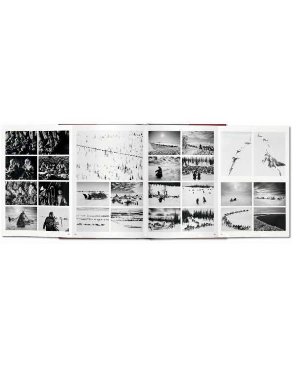 Sebastião Salgado. Genesis