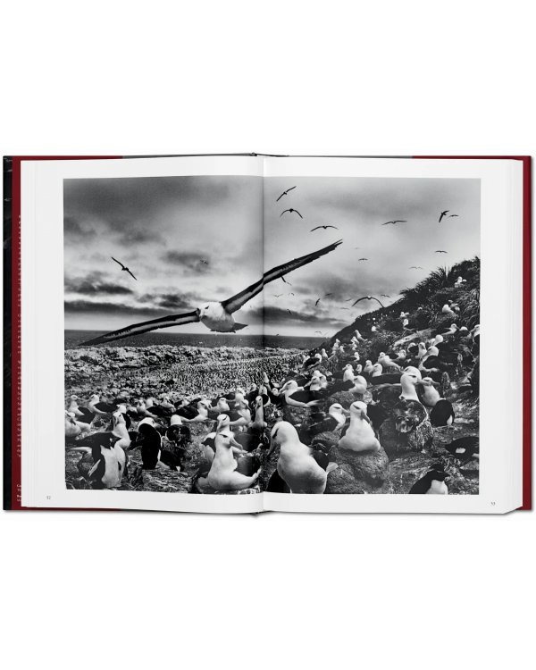 Sebastião Salgado. Genesis