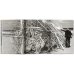 Strandbeest. The Dream Machines of Theo Jansen
