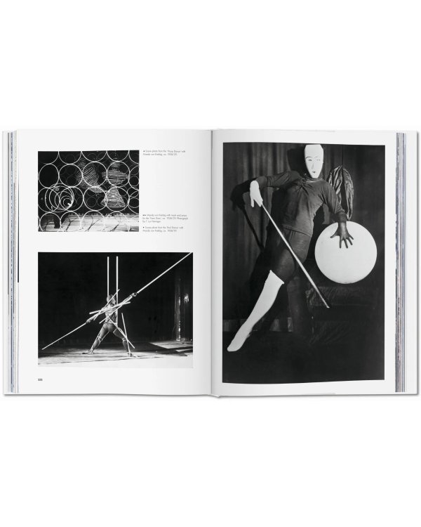 Bauhaus. Updated Edition