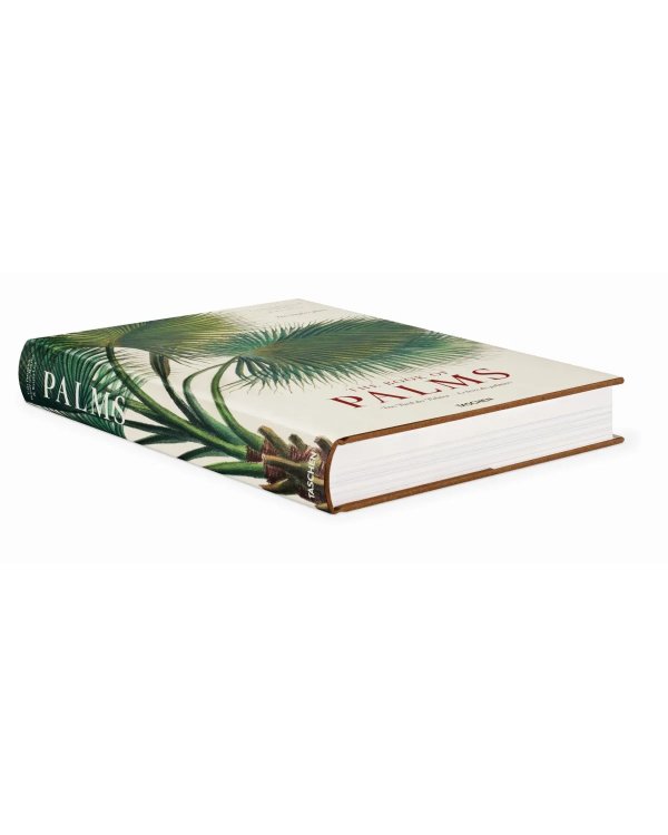 Martius. The Book of Palms