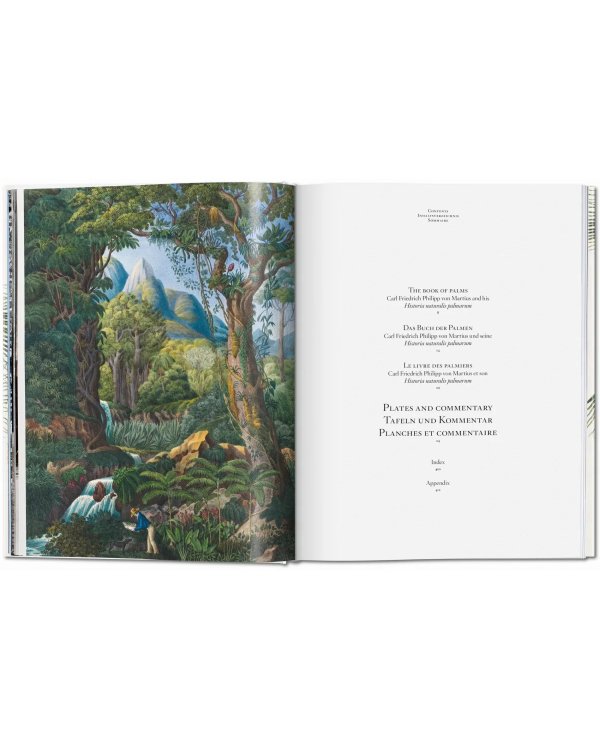 Martius. The Book of Palms