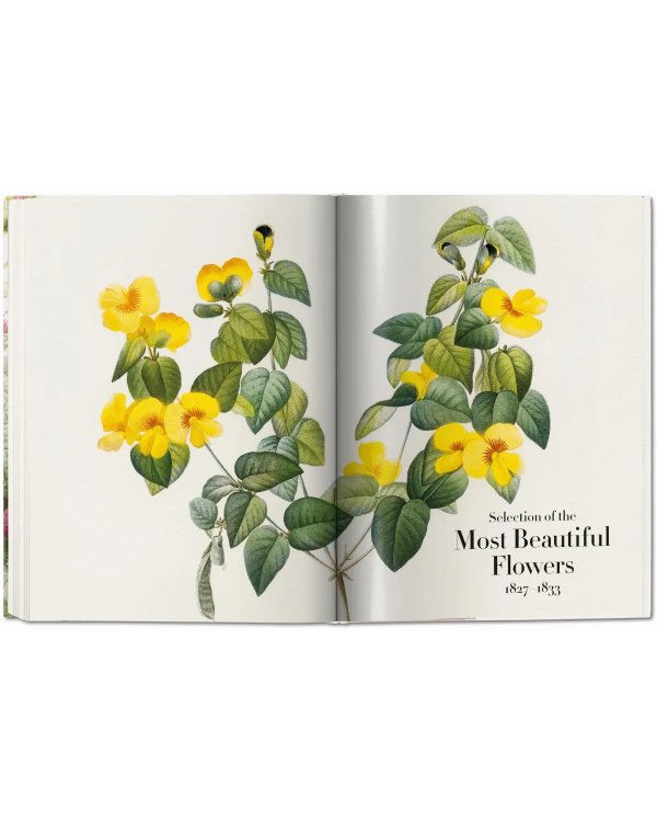 Redoute: The Book of Flowers XL