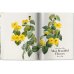 Redoute: The Book of Flowers XL Redoute: The Book of Flowers XL