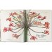 Redoute: The Book of Flowers XL Redoute: The Book of Flowers XL