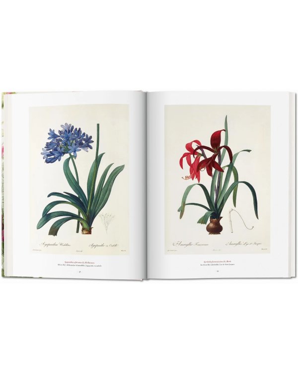 Redoute: The Book of Flowers XL