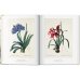 Redoute: The Book of Flowers XL Redoute: The Book of Flowers XL