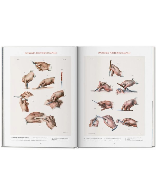 Bourgery. Atlas of Human Anatomy and Surgery
