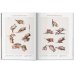 Bourgery. Atlas of Human Anatomy and Surgery