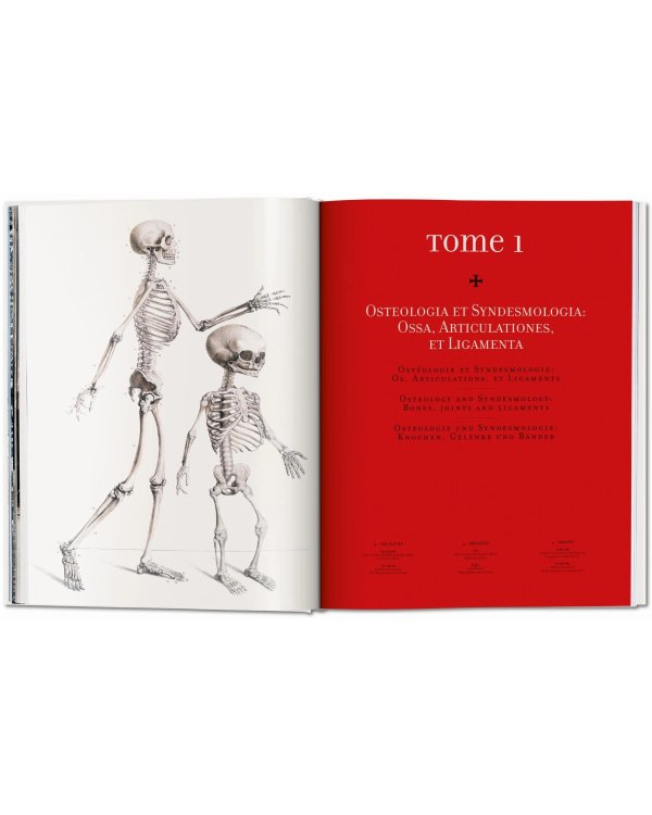 Bourgery. Atlas of Human Anatomy and Surgery