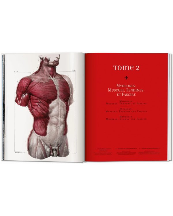 Bourgery. Atlas of Human Anatomy and Surgery