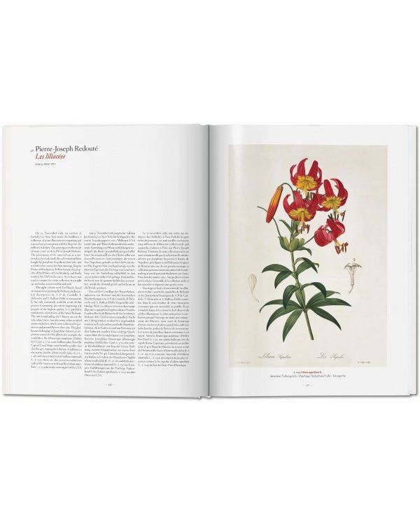 A Garden Eden. Masterpieces of Botanical Illustration