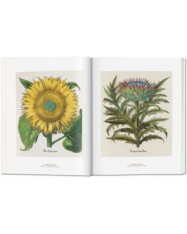 A Garden Eden. Masterpieces of Botanical Illustration