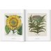 A Garden Eden. Masterpieces of Botanical Illustration