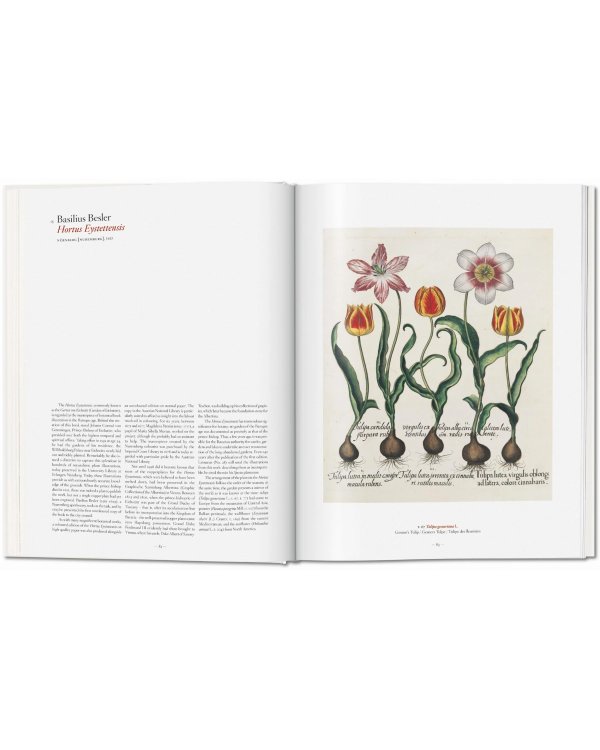 A Garden Eden. Masterpieces of Botanical Illustration