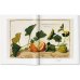 A Garden Eden. Masterpieces of Botanical Illustration