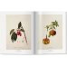 A Garden Eden. Masterpieces of Botanical Illustration