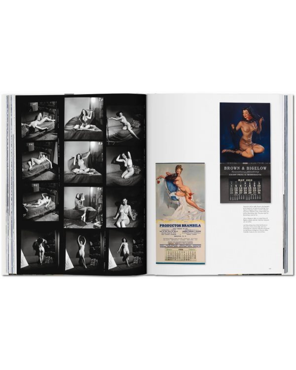 The Art of Pin-up