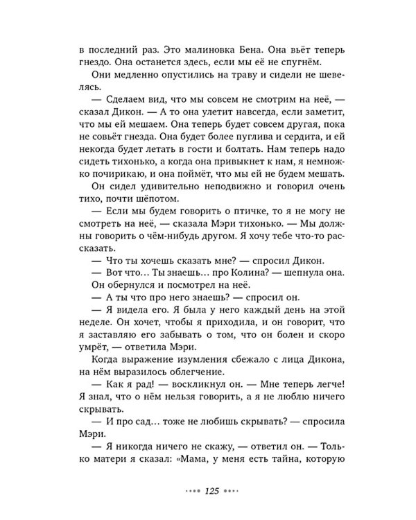 Дополнительное изображение книги «Таинственный сад»