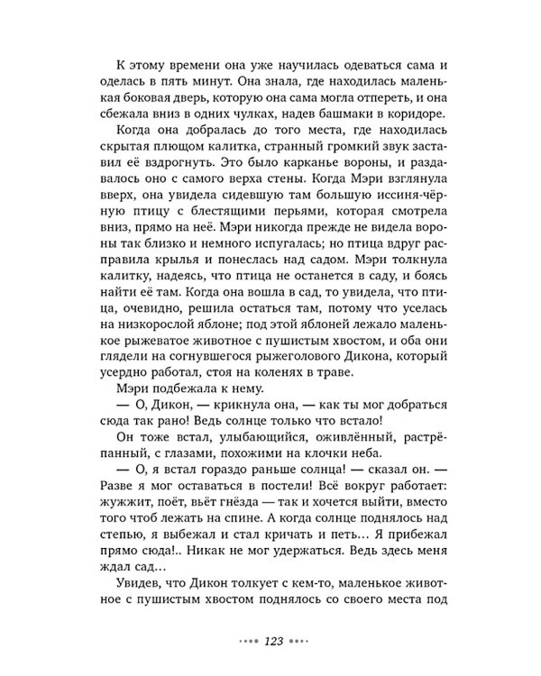 Дополнительное изображение книги «Таинственный сад»
