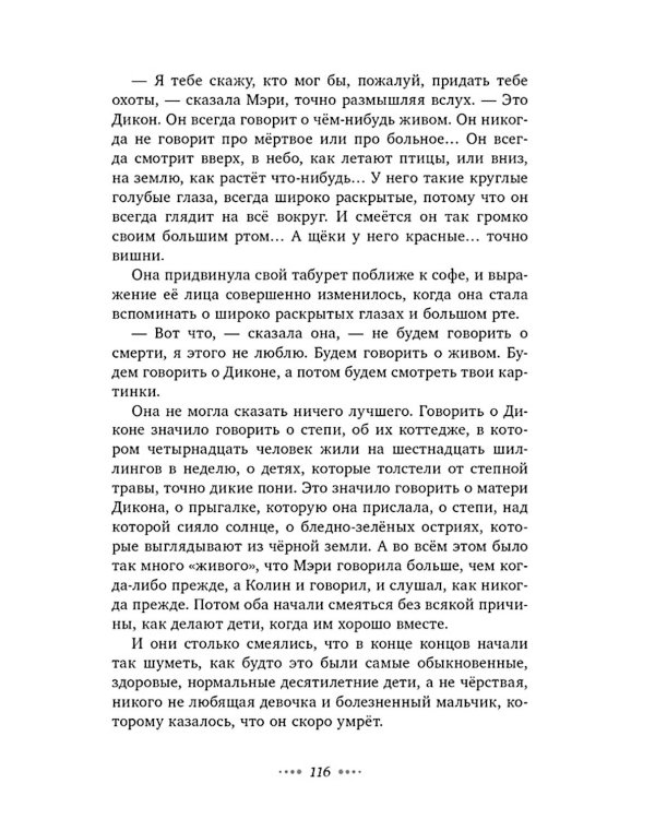 Дополнительное изображение книги «Таинственный сад»
