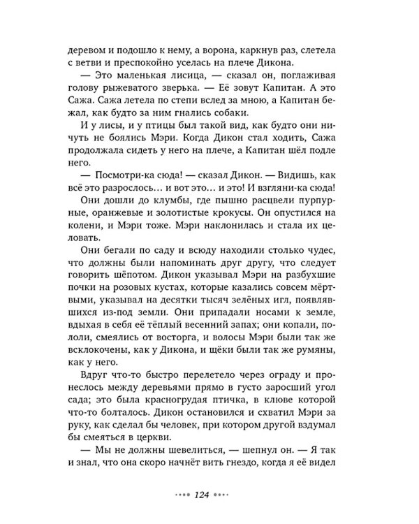 Дополнительное изображение книги «Таинственный сад»