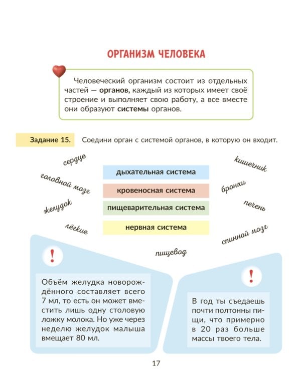 Окружающий мир: Тренажер. 3 кл. Самые важные темы программы с проверочными заданиями и ответами