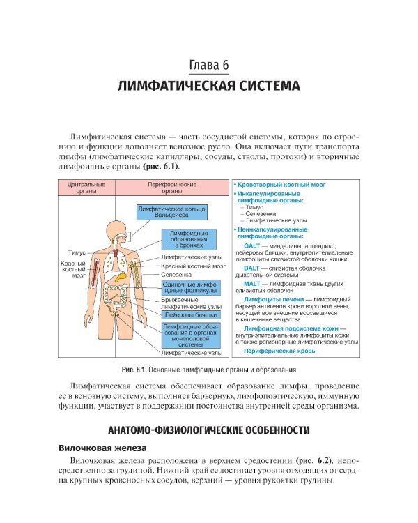 Пропедевтика детских болезней: Учебник. 4-е изд., испр. и доп