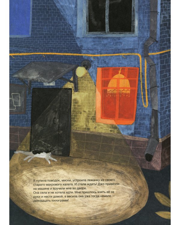 Твоя собака