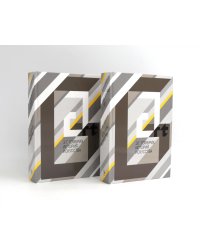 История искусства (Комплект из двух одинаковых книг)