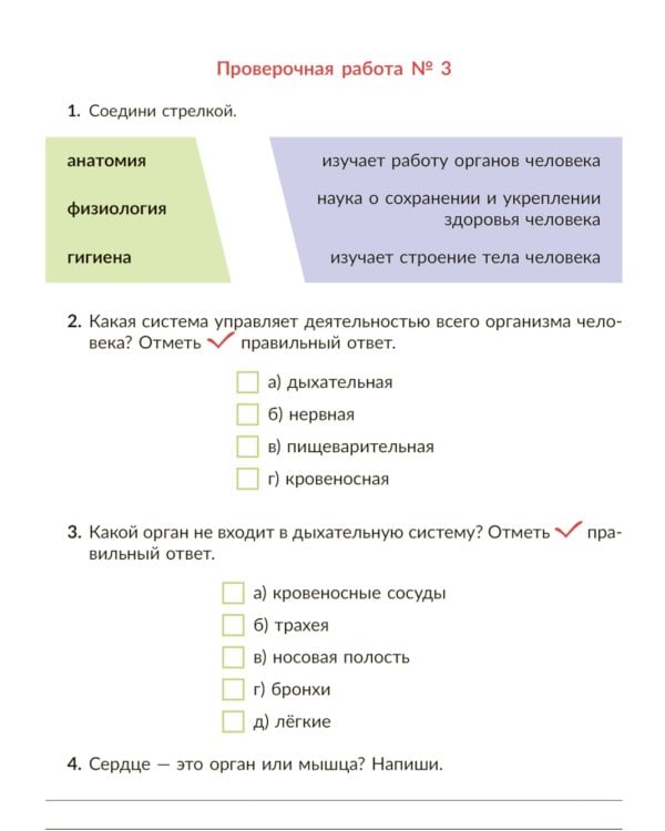 Окружающий мир: Тренажер. 3 кл. Самые важные темы программы с проверочными заданиями и ответами