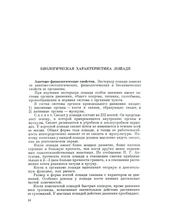 Экстерьер лошади