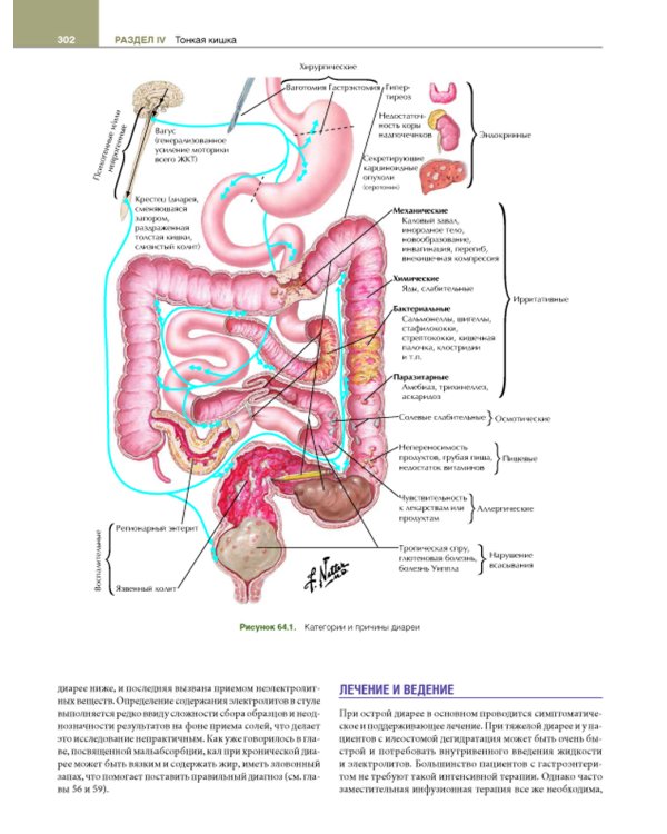 Гастроэнтерология с иллюстрациями Неттера. В 2 ч. (комплект из 2 кн.)