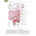 Гастроэнтерология с иллюстрациями Неттера. В 2 ч. (комплект из 2 кн.) Гастроэнтерология с иллюстрациями Неттера. В 2 ч. (комплект из 2 кн.)
