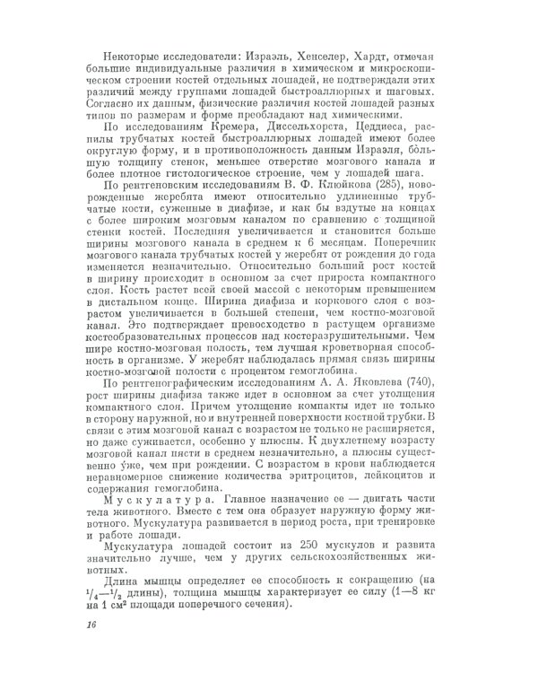 Экстерьер лошади