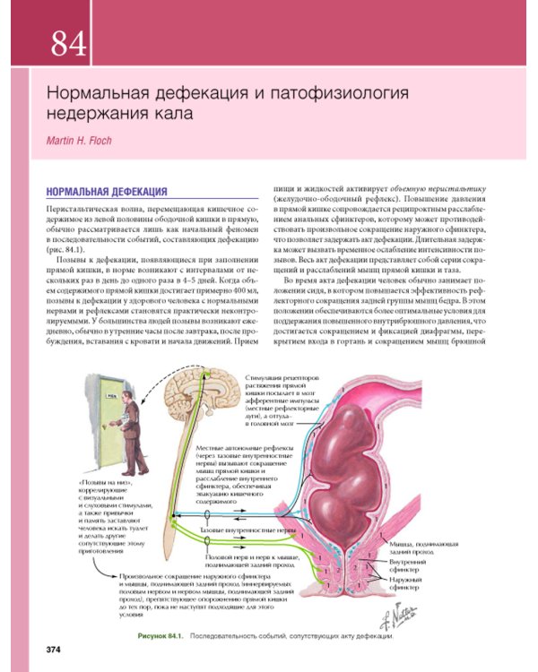 Гастроэнтерология с иллюстрациями Неттера. В 2 ч. (комплект из 2 кн.)