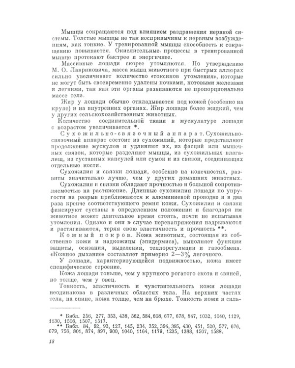 Экстерьер лошади