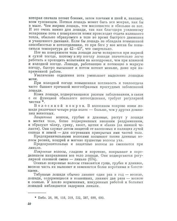 Экстерьер лошади
