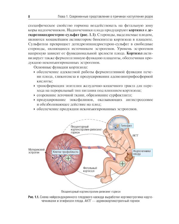 Клиническое течение родов: Учебное пособие