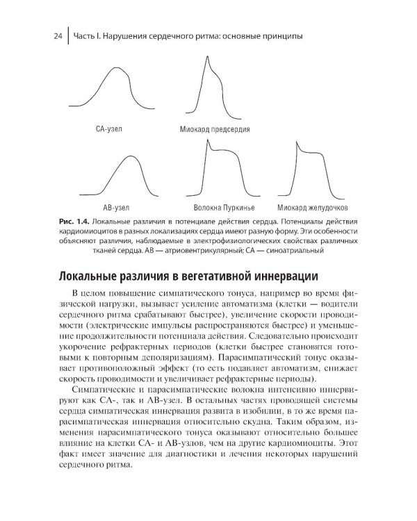 Электрофизиологическое исследование в кардиологии по Фогоросу