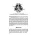 Функциональная анатомия ЛОР-органов. 2-е изд., стер