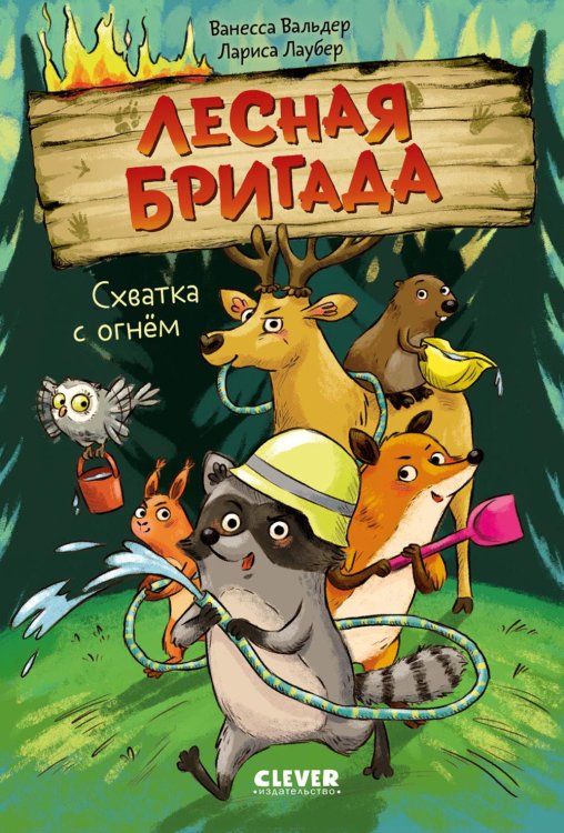 Обложка книги «Схватка с огнем» — Вальдер Ванесса, ISBN 9785002528349