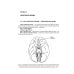 Анатомия черепных нервов и парасимпатической части вегетативной нервной системы
