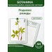 Ботаника. Систематика грибов, водорослей, растений. Подкласс розиды: Учебное пособие. (КАРТОЧКИ 44 шт.)