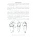 Анатомия зубов человека. 5-е изд., доп. и испр Анатомия зубов человека. 5-е изд., доп. и испр