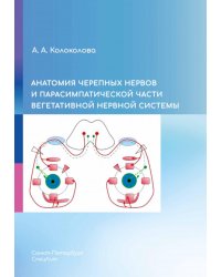 Анатомия черепных нервов и парасимпатической части вегетативной нервной системы