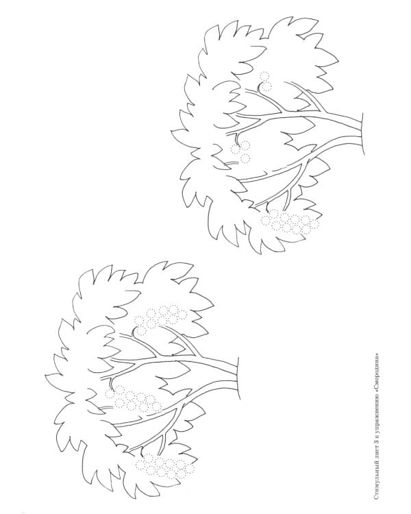 Рисующий гномик. Альбом №2 по формированию графичских навыков и умений у детей младшего дошкольного возраста с ЗПР