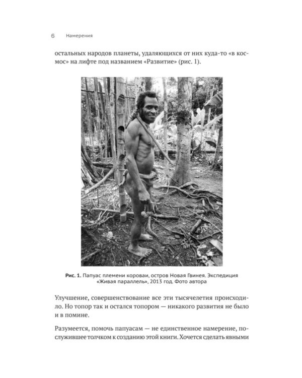 Метафизика развития. Усложнение как объект управления